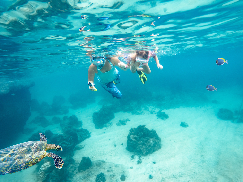 fiji-charter-snorkeling-big-blue-fiji