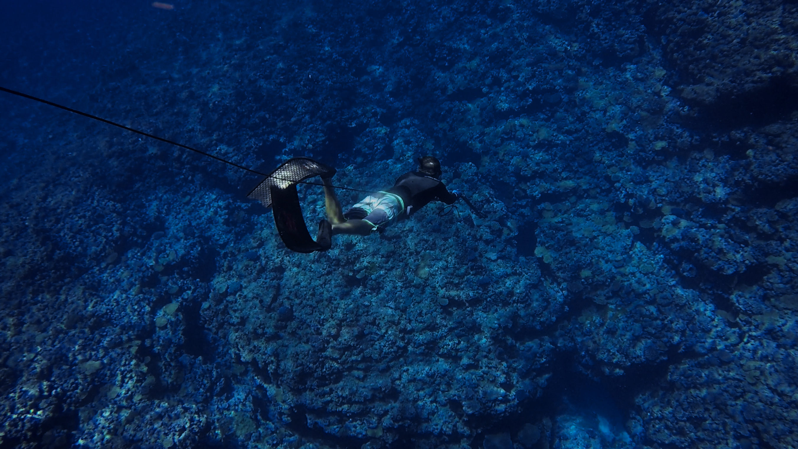 fijicharterfreedivespearfishingdeepdive • Big Blue Fiji