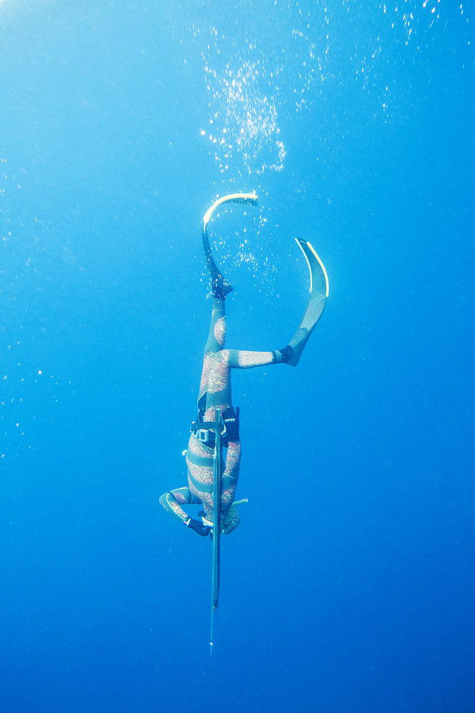 Spearfishing  Namotu Island Fiji