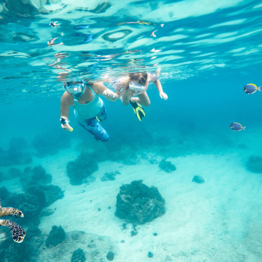 Family holding hands while snorkelling in the clear waters of Fiji.