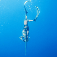 freediving fishing in fiji during catamaran charter holiday