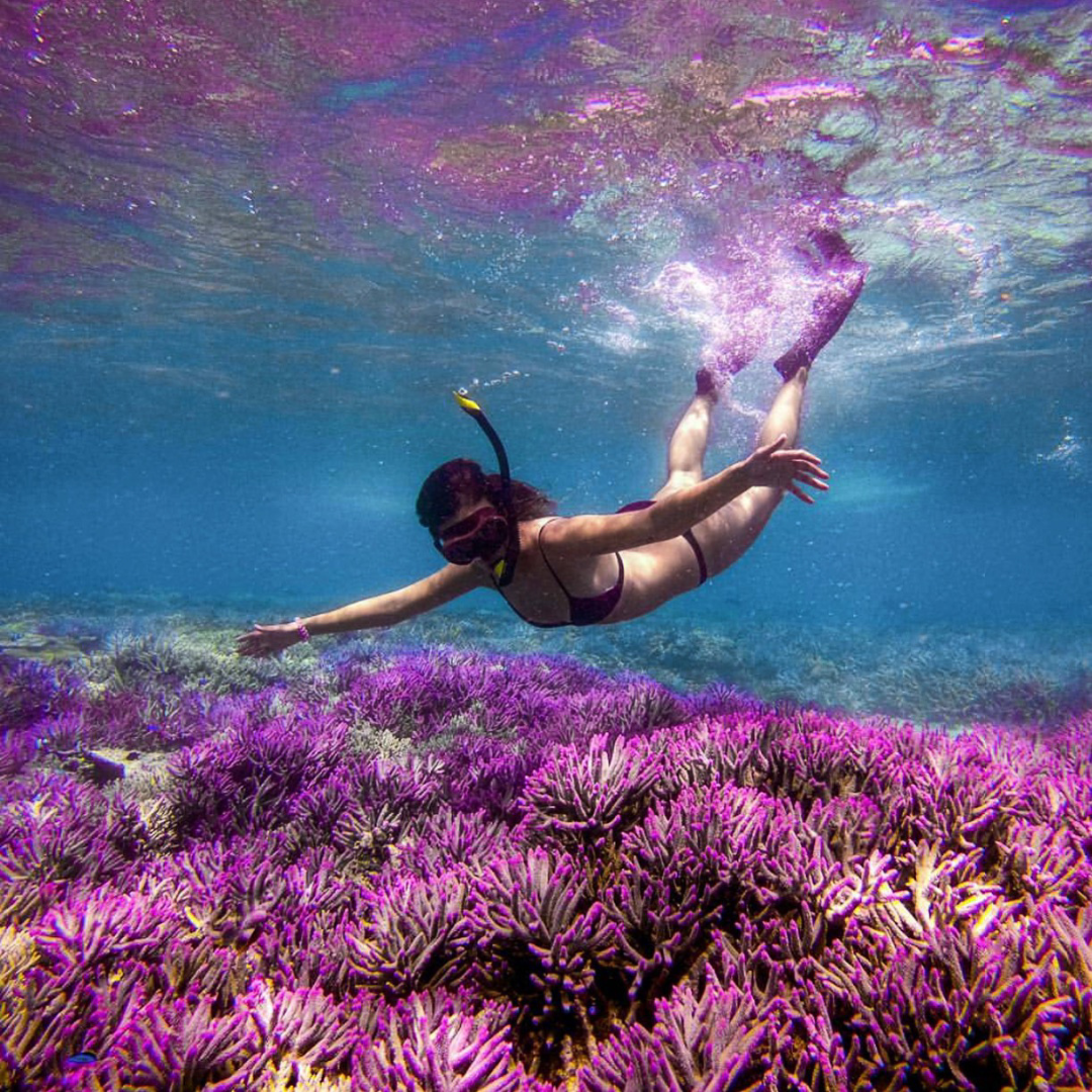 Parents and kids snorkeling off a catamaran in the clear waters of Fiji